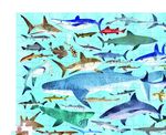 Пазл в цилиндре "36 Животных, Акулы", 100 деталей