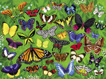 Пазл "36 Животных, Бабочки", 300 деталей