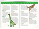 Пазл на наблюдательность "Динозавры", 100 деталей