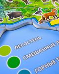 Пазл «Животный мир России», 92 детали