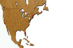 Карта мира (МДФ коричневый), 180х108 см